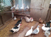 Muscovy...................males for sale.....