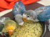 2 beautiful blue Fischers for sale