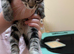 Kittens for sale