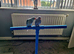 Baby Indian ringnecks for sale. 4 separate stands, lots of toys, Java branch ect ect ect