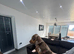 Miniature dachshund puppies