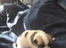 Male Chihuahua sold