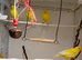 4 x German Roller Canaries