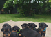 Miniature pinscher puppies 4 left! ️