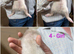 Gorgeous ferrets ready to go now