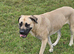 Rehome of my baby girl
