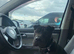 2yr old SharPei x Staffy