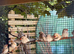Zebra Finch Pairs