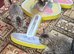 5 lovely kittens for sale