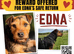 MISSING SMALL TERRIER - WALES