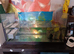 Axolotl for sale