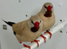 Beautiful pair of Isabel Shaft tail grass finches