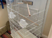 Superb brand new cage ideal for budgies!
