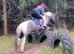 Rosie pony