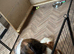 Female Saint Bernard Ready Now