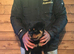 XXX GERMAN TOP SIZE ROTTWEILER PUPS XXX
