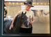 ASPC / amhr registered 5 yr old stallion