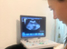 maltipoo puppies for sale