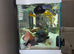 240ltr aquarium/cabinet