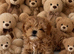 Prestige luxury Maltipoo Puppies