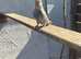 Baby budgies for sale  &pound;40 each collection mk404nn