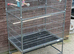 Parrot cage