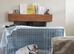 Beautiful Jack Russell Pups for sale.