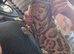 Female bengal