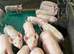 piglets For sale