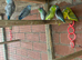 Ringnecks & Lovebirds