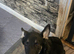 3/4 German shepherd 1/4 Alaskan malamute puppy