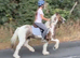 Cob Gelding 12.3 skewbald 9yrs ride/drive family pony