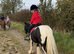 Cob mare 13h