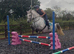 Harper 14.2hh reg Connie