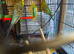 2 budgies with cage and accessories