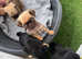 4 gorgeous Pug Puppies