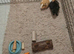 2 male guinea pigs OFFERS