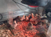 Pekin Bantam, Serama and Bantam Wyandotte chicks for sale