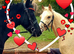 !WANTED! Pony/horse