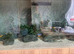 5ft aquarium 4 life tank with sump