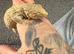 Male leachieanus gecko