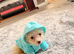 Pomerania puppy for sell