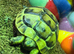 Spur thigh hatchlings