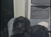Special Home for Charlie Schnocker