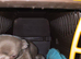 Lilac chihuahua puppies