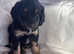 Boy looking for forever home