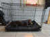 Xl dog cage