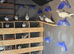 Pakistani pigeons