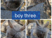 4 beautiful litter of dwarf lionhead cross mini lion lop ready to go now
