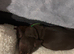 2 gorgeous boys left